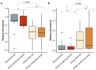 Gut Microbial Profile Is Associated With Residential Settings and Not Nutritional Status in Adults in Karnataka, India